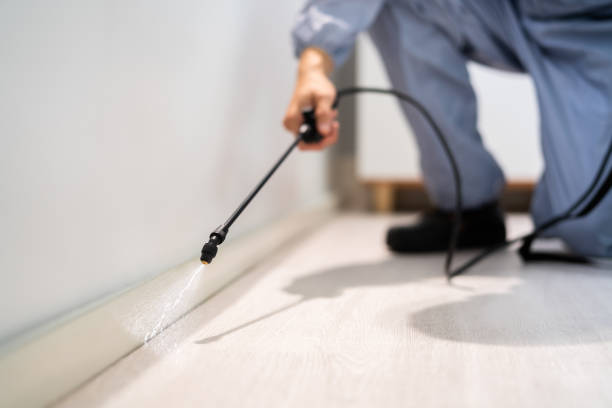 Professional exterminator conducting IPM assessment in Kaufman